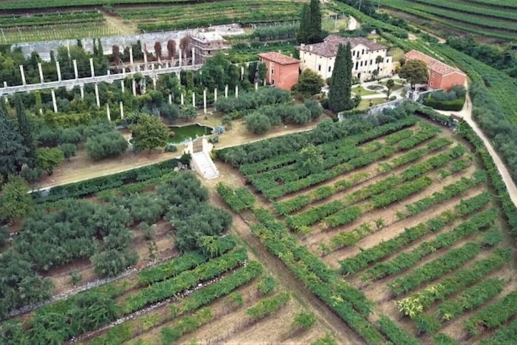 Photo of Outdoor in Negrar