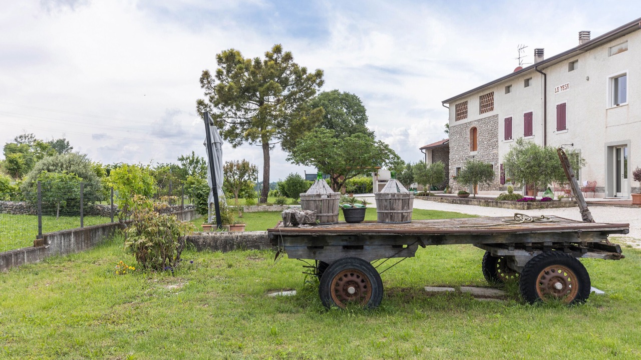 Photo of Outdoor in Sona