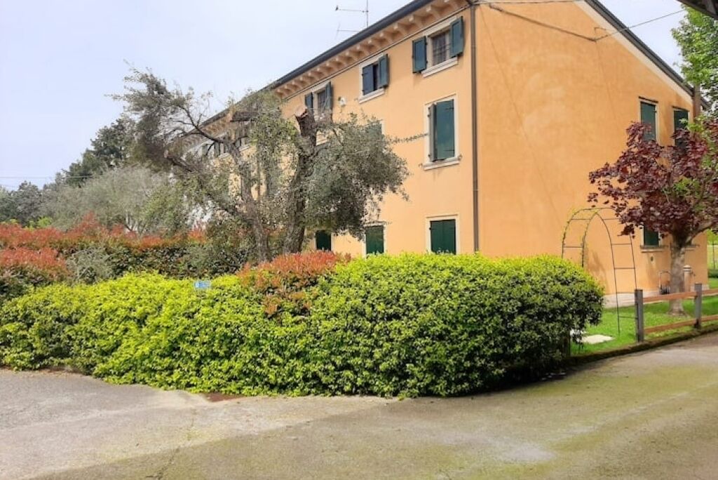 Photo of Outdoor in Sommacampagna