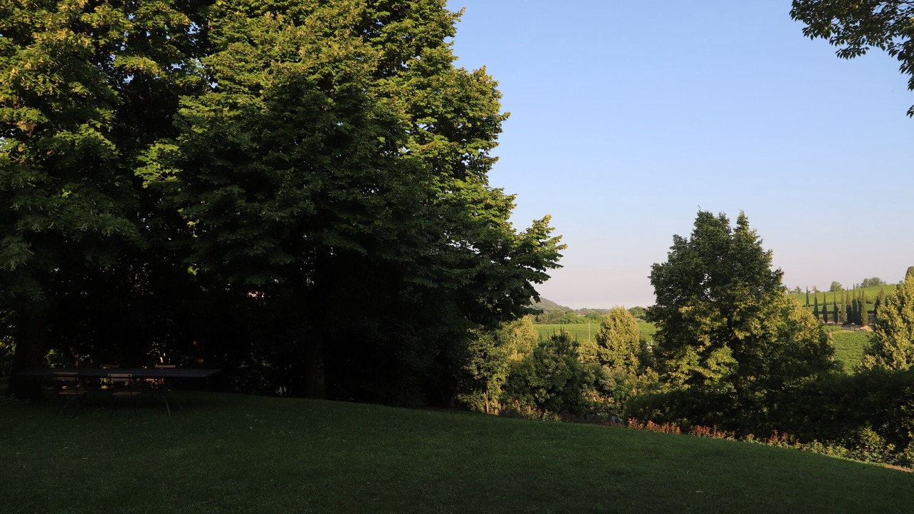Photo of Others in Custoza