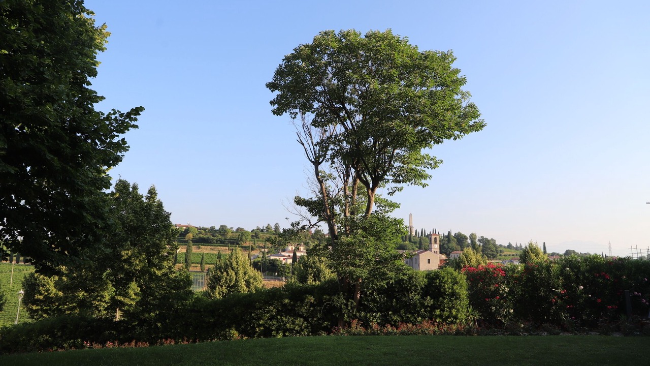 Photo of Outdoor in Custoza