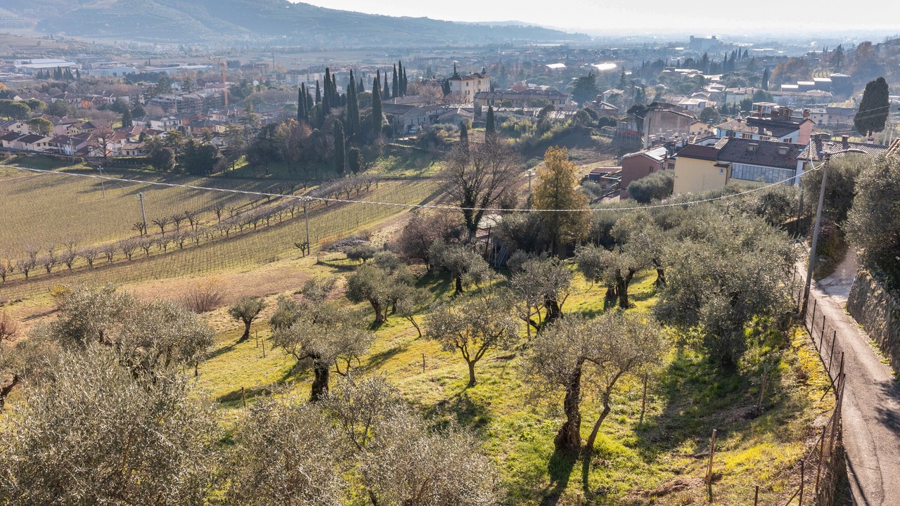 Photo of Others in Verona