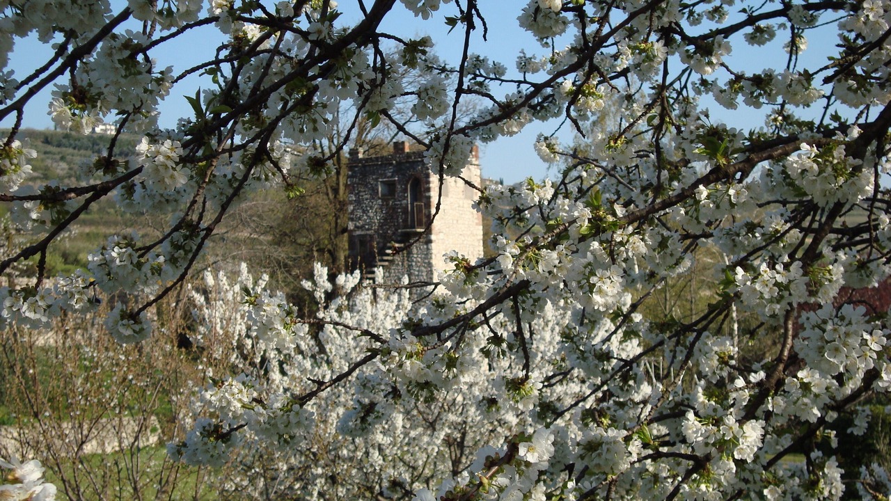 Photo of Outdoor in Marcellise