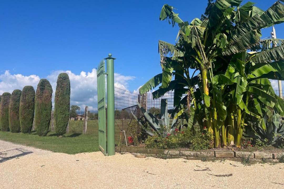 Photo of Others in Pescantina