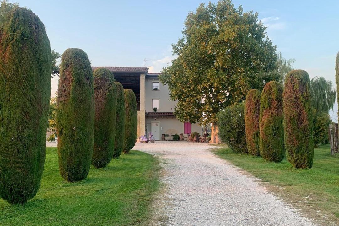 Photo of Others in Pescantina