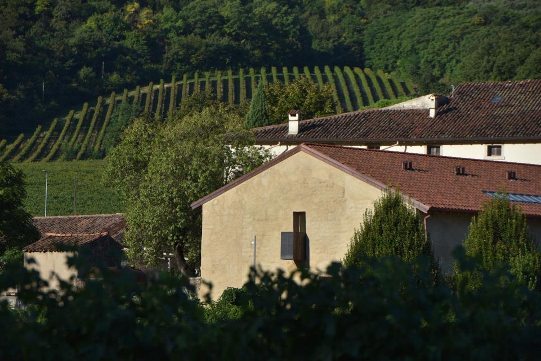 Photo of Others in Mezzane di Sotto