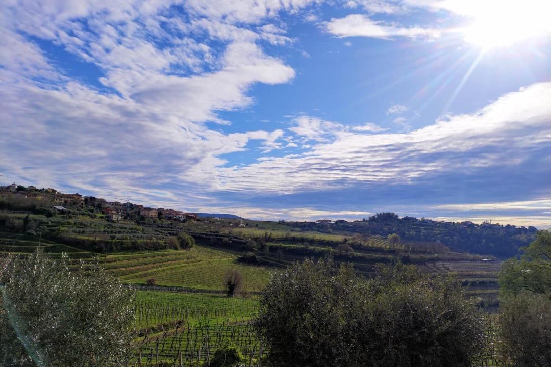 Photo of Others in Colognola ai Colli