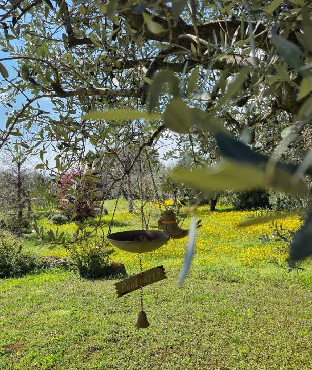 Photo of Others in Colognola ai Colli