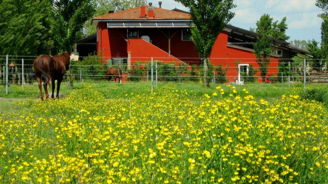 Photo of Others in Badia Polesine