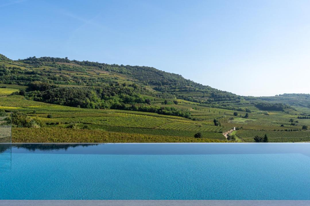 Photo of Others in Soave