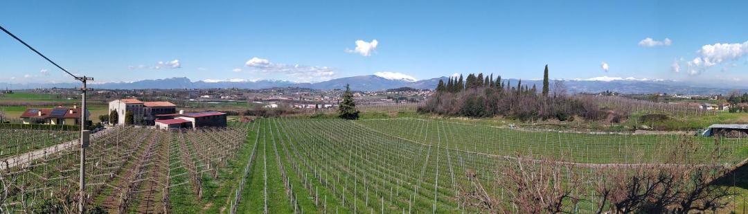 Photo of Others in Sommacampagna