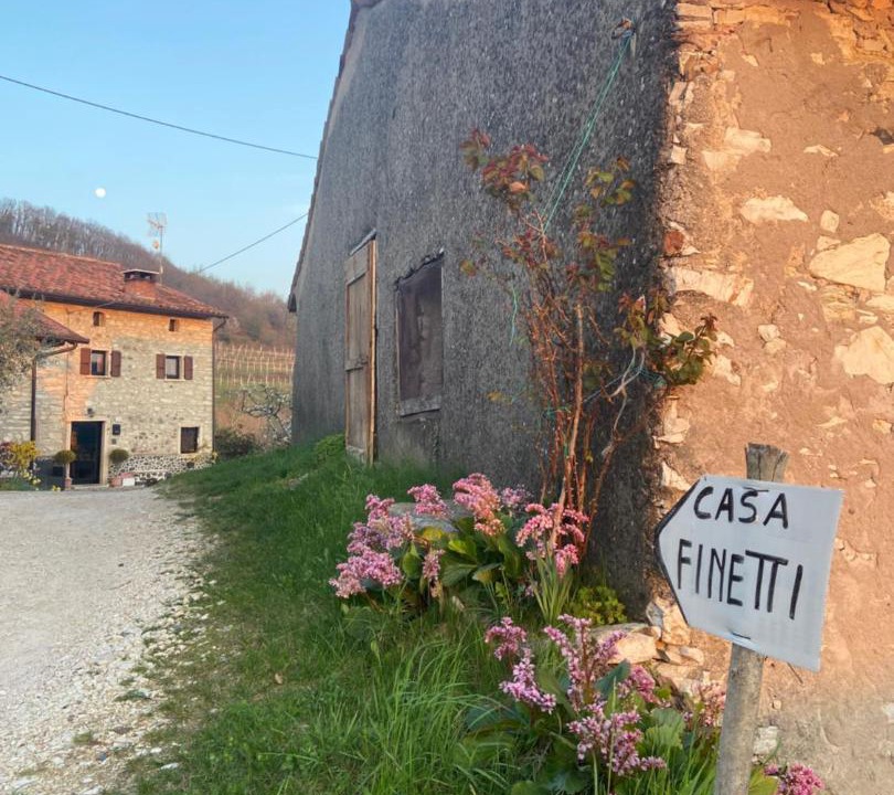 Photo of Others in Tregnago
