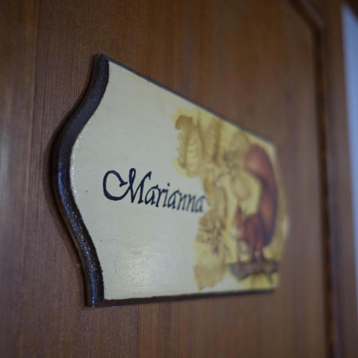 Photo of Others in San Martino Buon Albergo