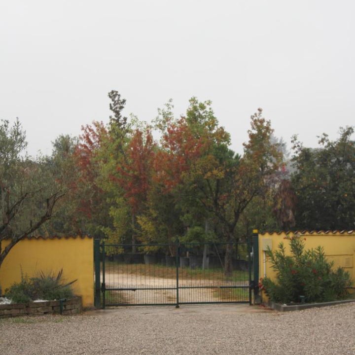 Photo of Others in Palazzolo