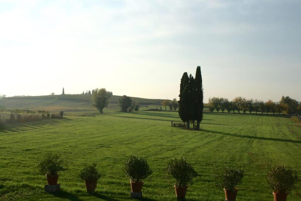 Photo of Outdoor in Sommacampagna
