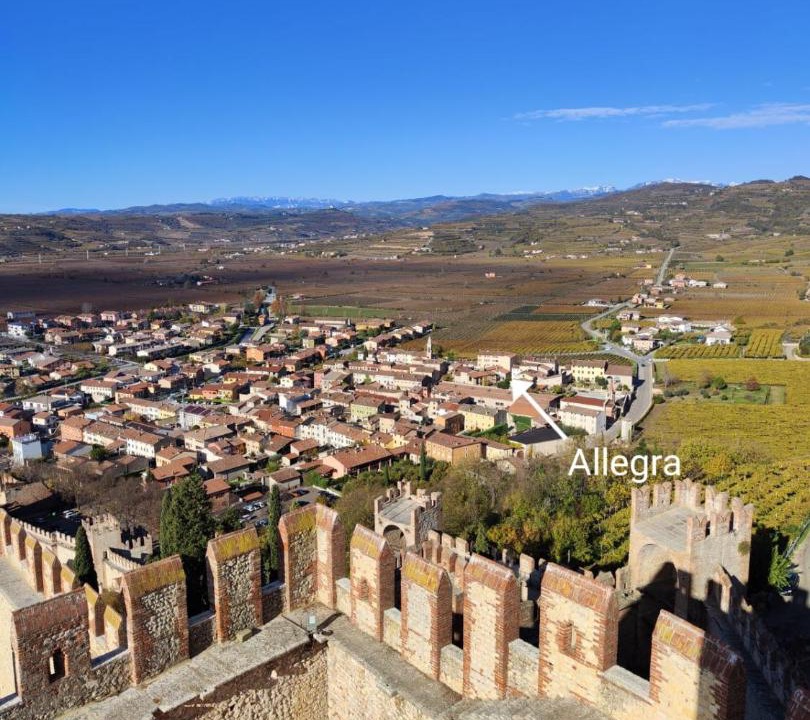 Photo of Others in Soave