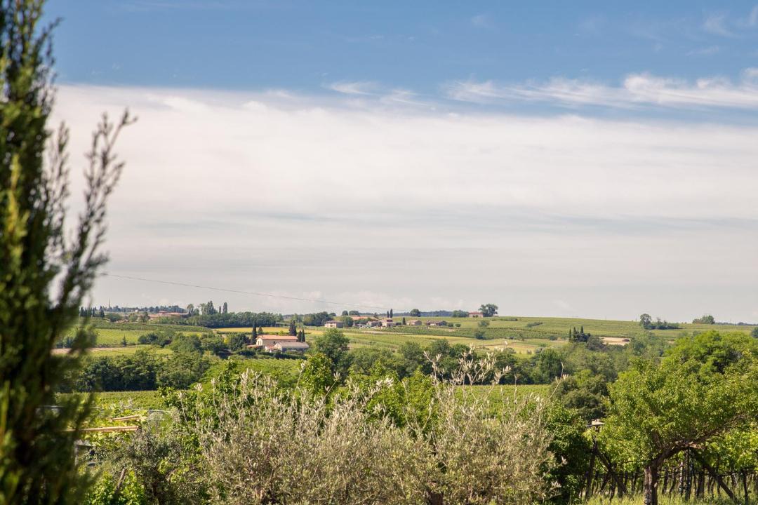 Photo of Others in Sommacampagna