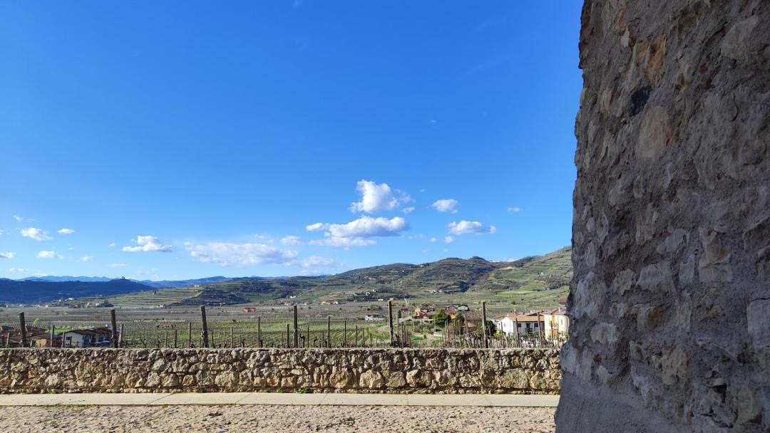 Photo of Others in Soave