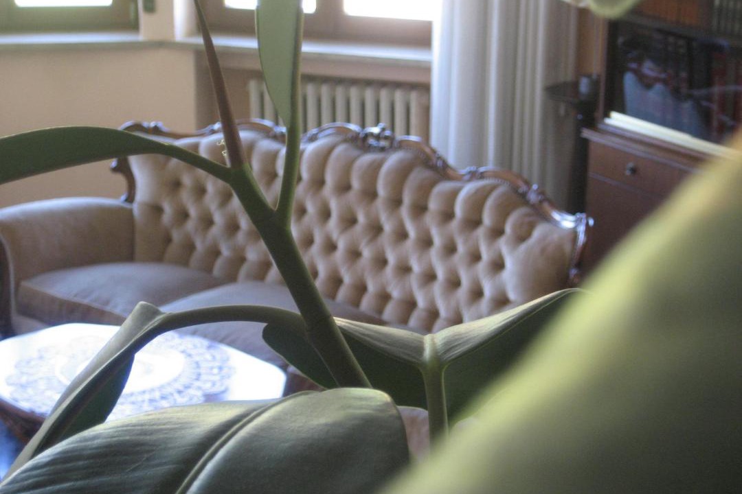Photo of Livingroom in Borgo Milano