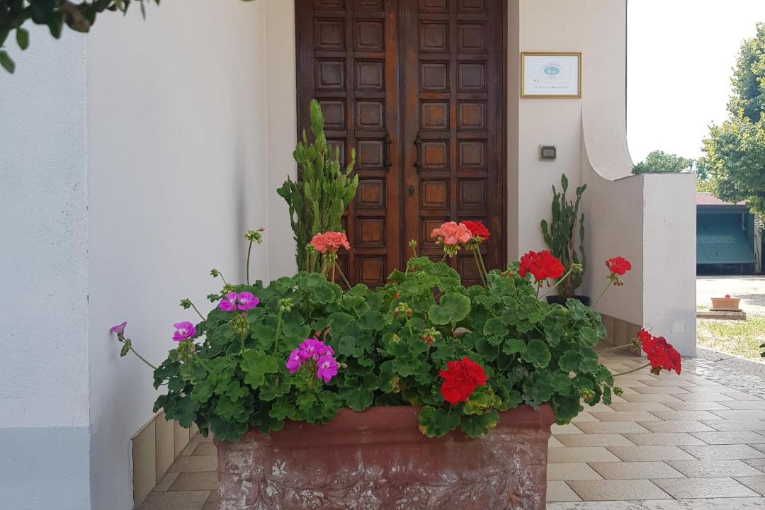Photo of Others in Legnago