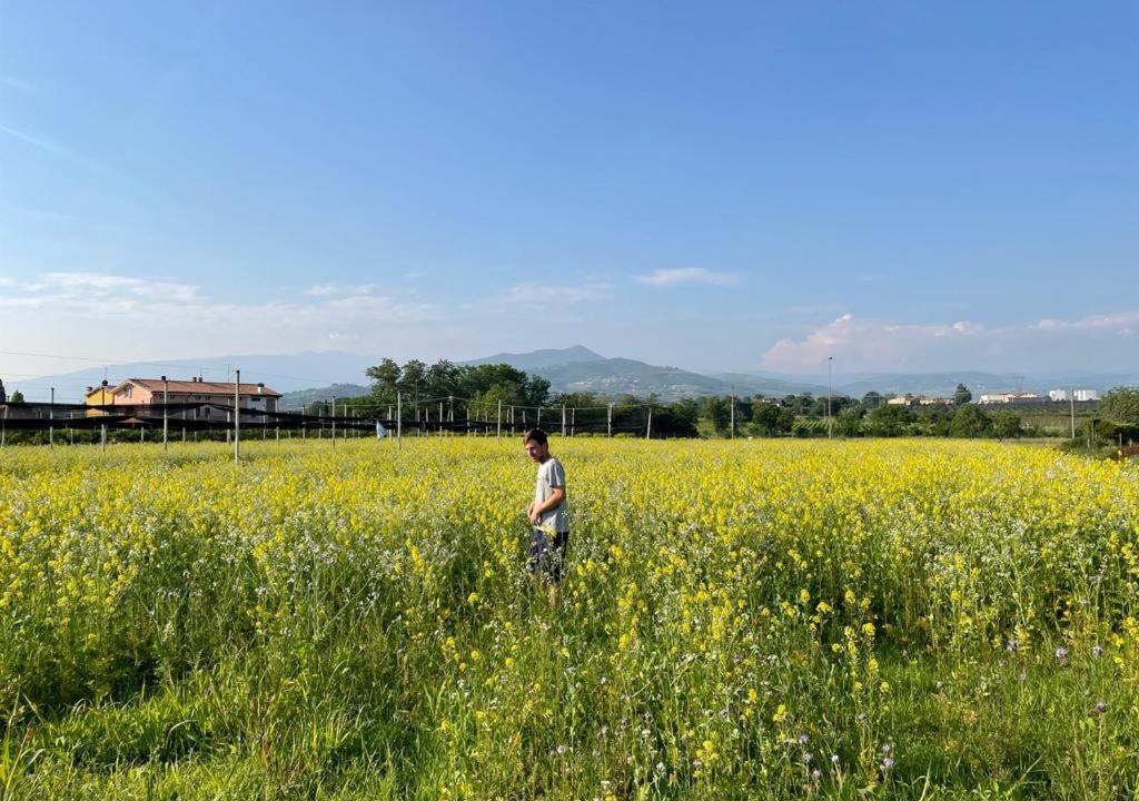 Photo of Outdoor in Pescantina
