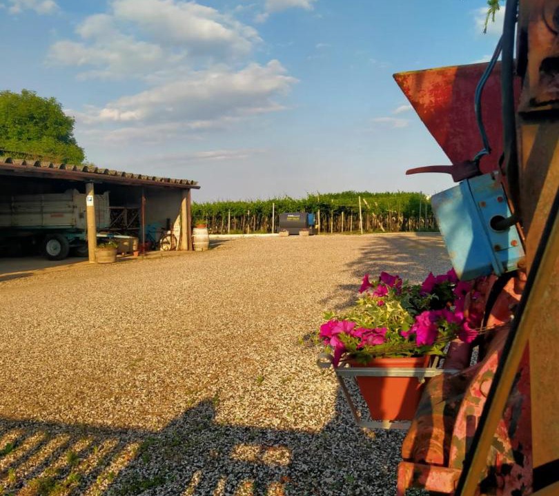 Photo of Others in Monteforte d'Alpone