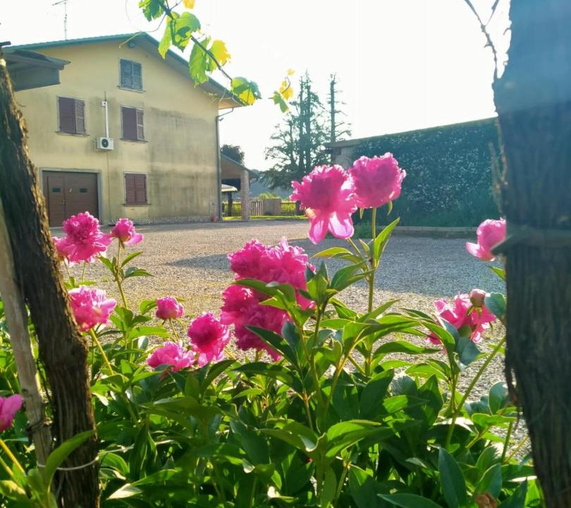 Photo of Outdoor in Monteforte d'Alpone