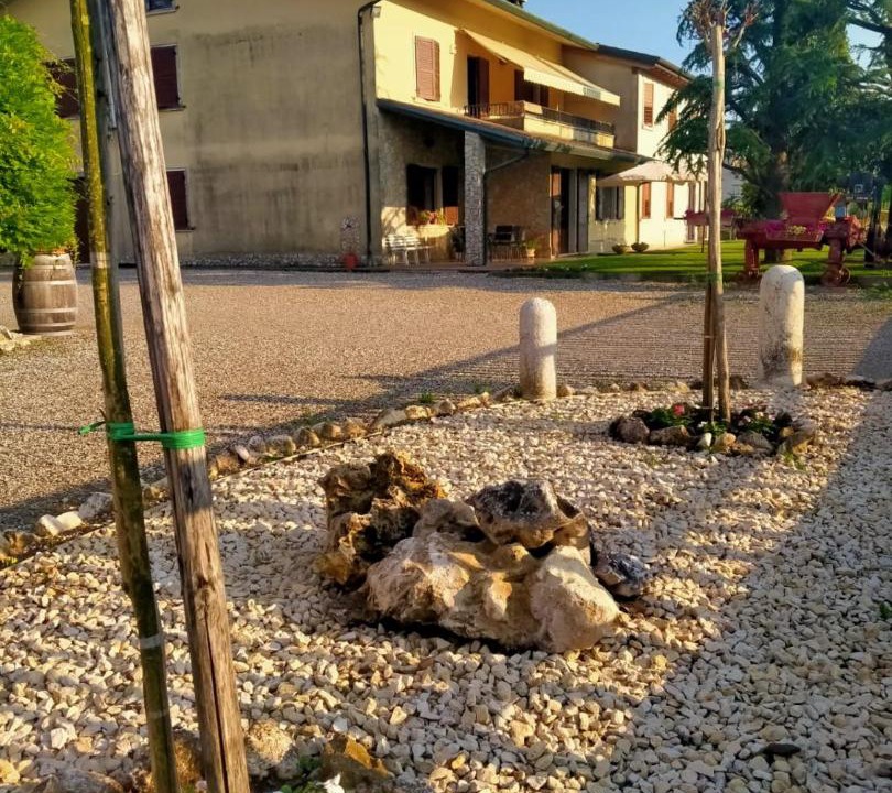 Photo of Others in Monteforte d'Alpone