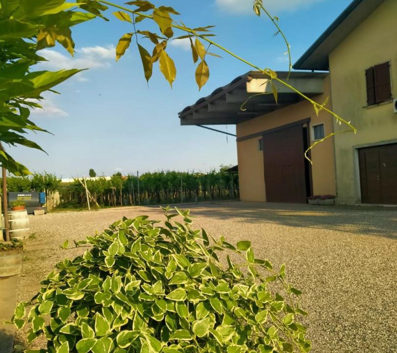 Photo of Others in Monteforte d'Alpone