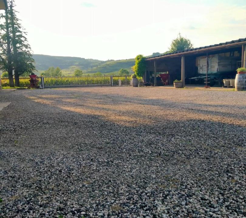 Photo of Others in Monteforte d'Alpone