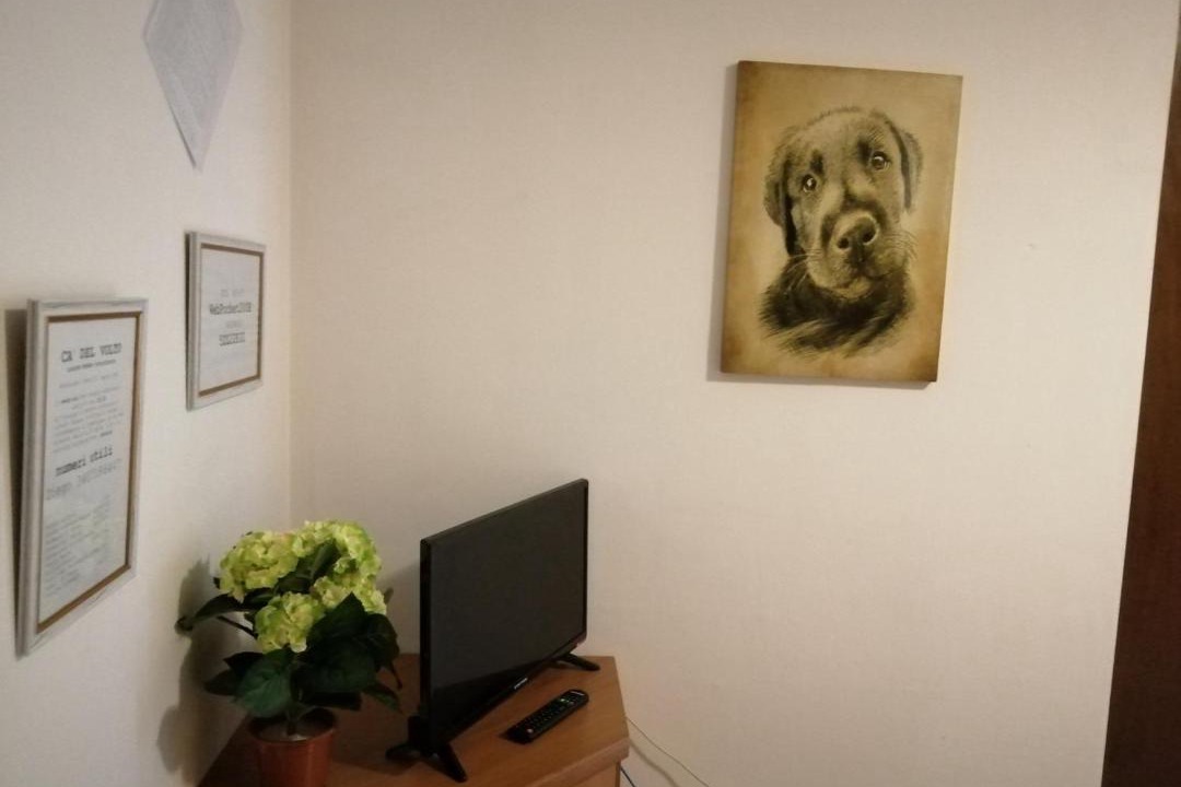 Photo of Livingroom in Negrar