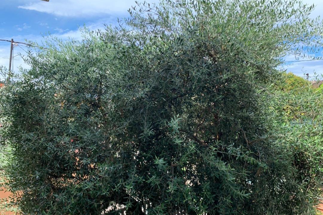 Photo of Outdoor in Ca' di David