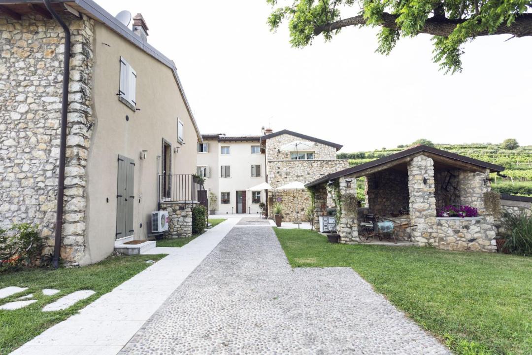 Photo of Others in Soave
