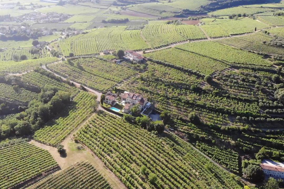 Photo of Others in Soave