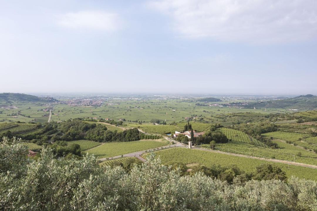 Photo of Others in Soave