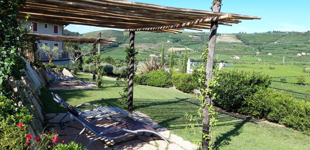 Photo of Others in Soave