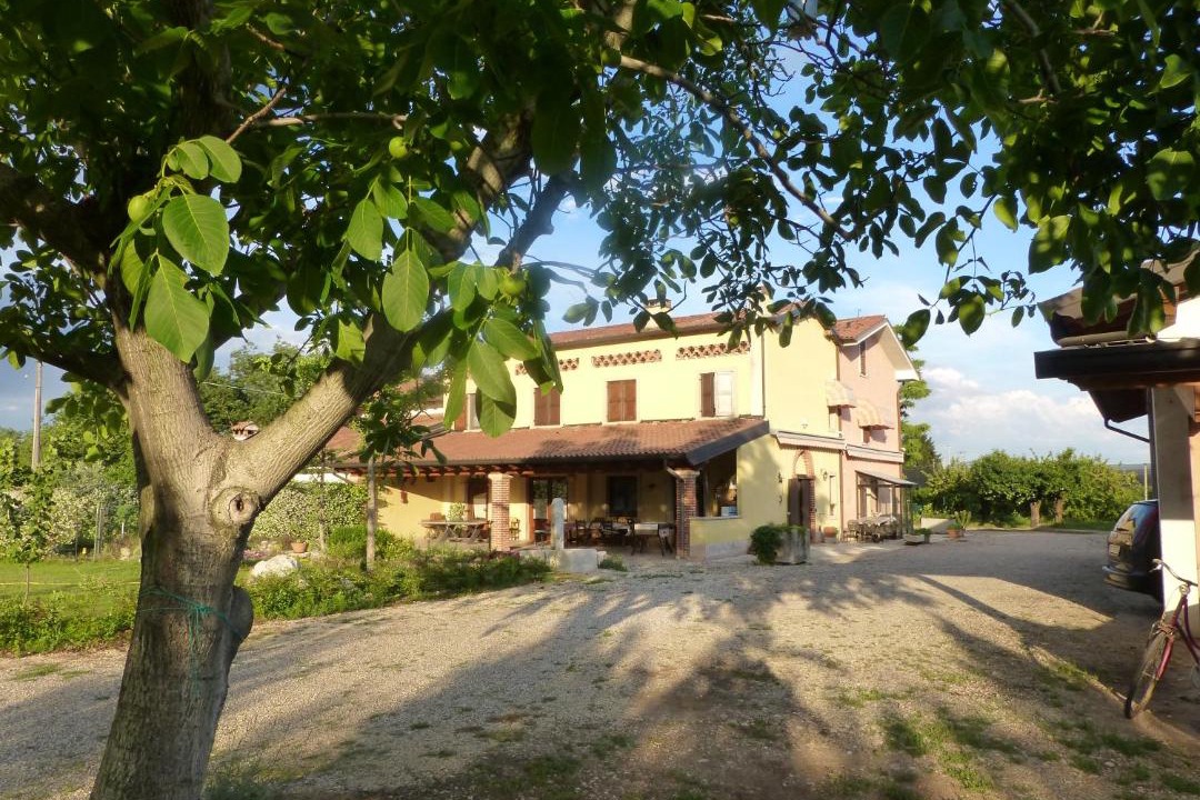 Photo of Buildings in Pescantina