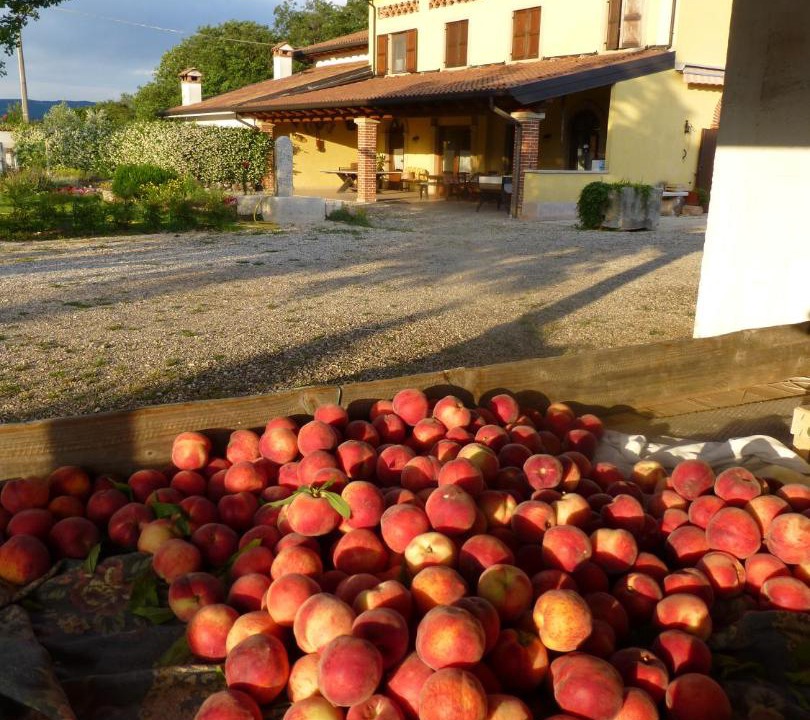 Photo of Others in Pescantina