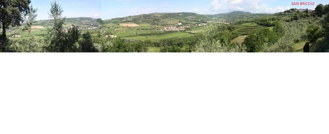 Photo of Others in Lavagno