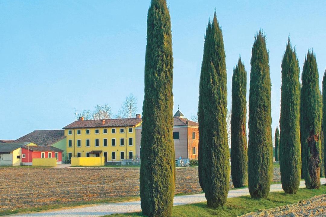 Photo of Others in San Martino Buon Albergo