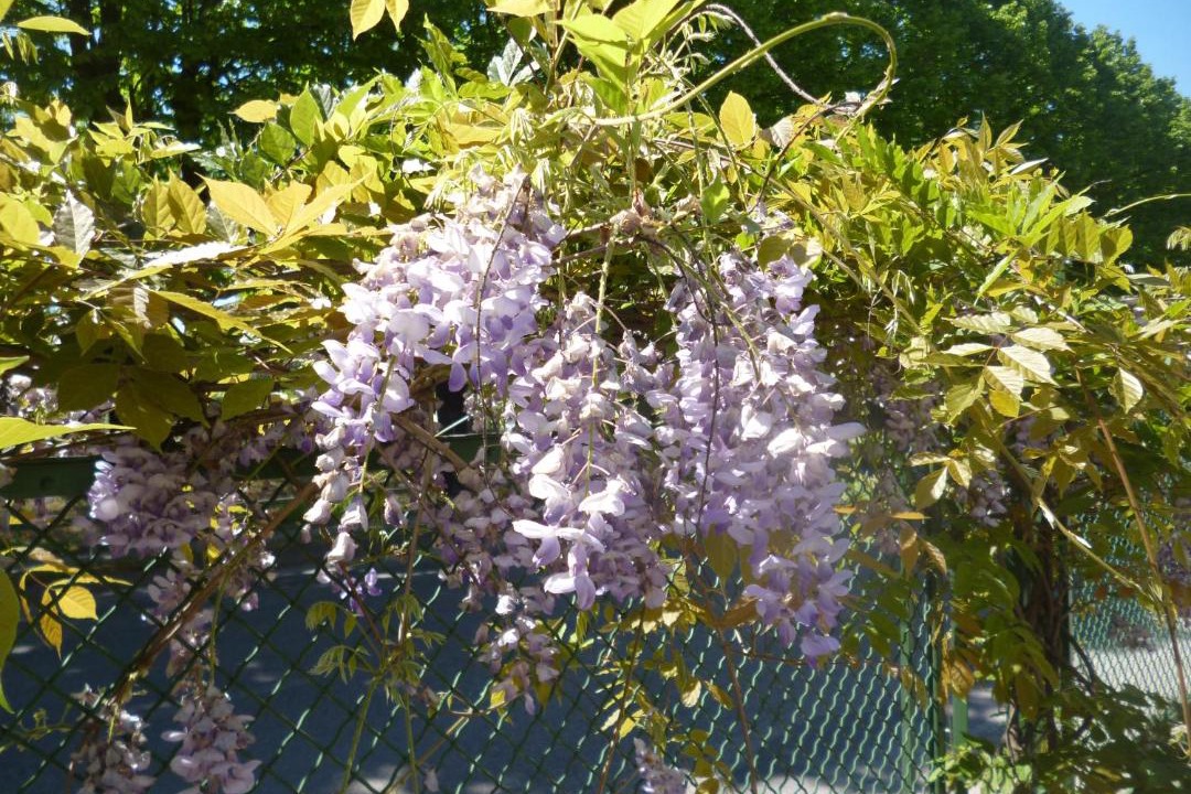 Photo of Outdoor in Badia Polesine