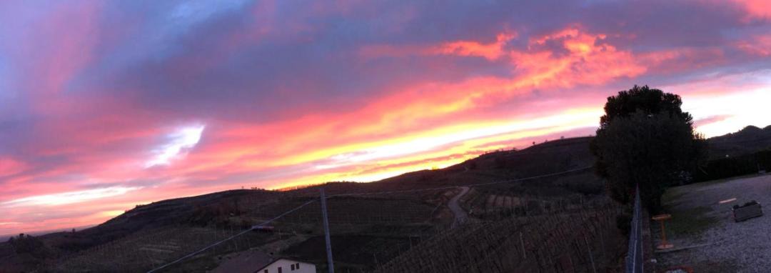 Photo of Others in Monteforte d'Alpone