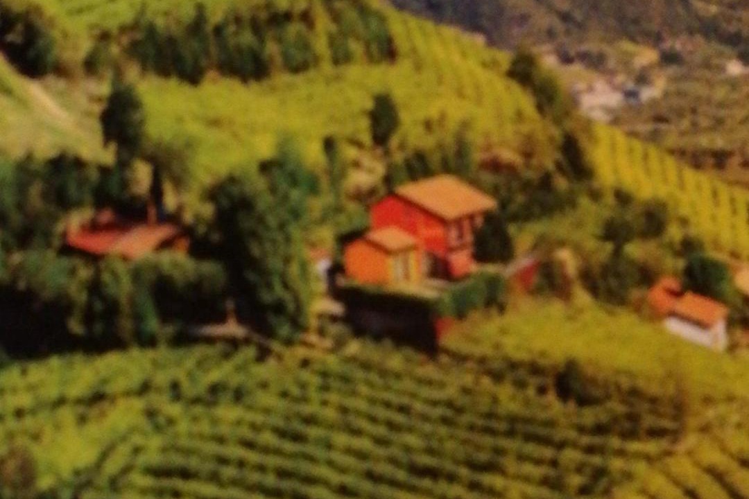 Photo of Others in Monteforte d'Alpone