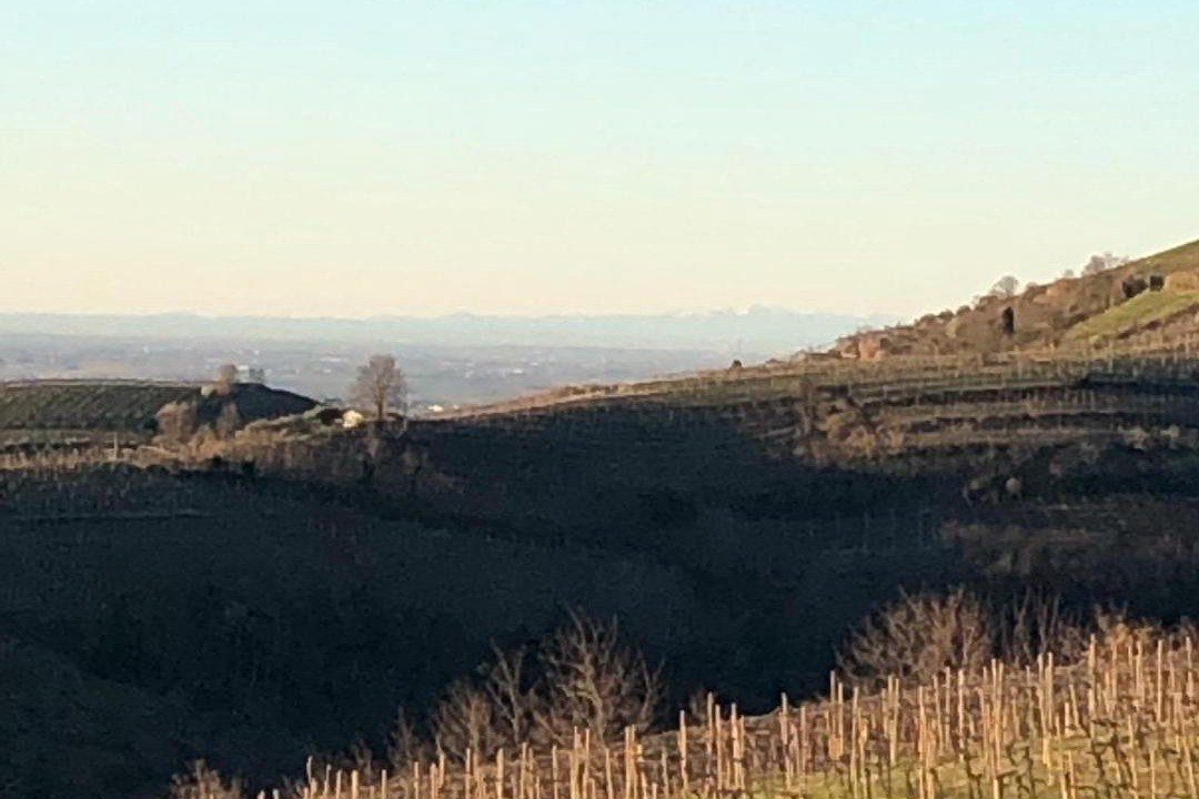 Photo of Others in Monteforte d'Alpone