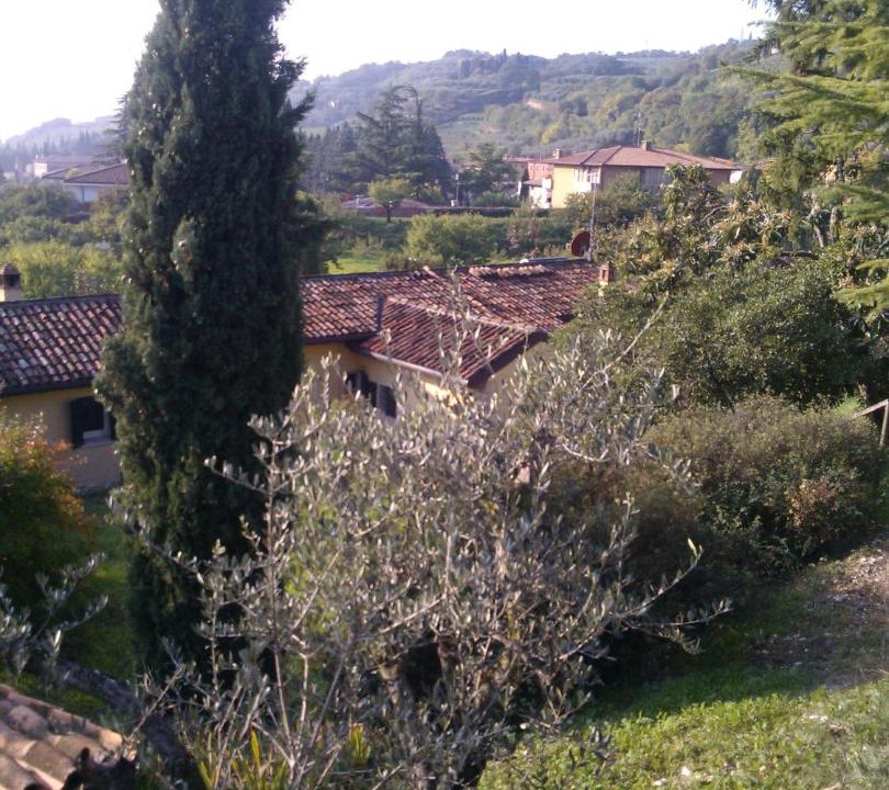 Photo of Others in Marcellise