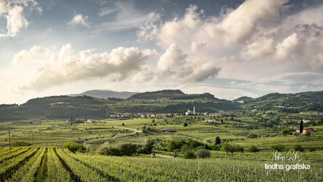 Photo of Others in Marano di Valpolicella