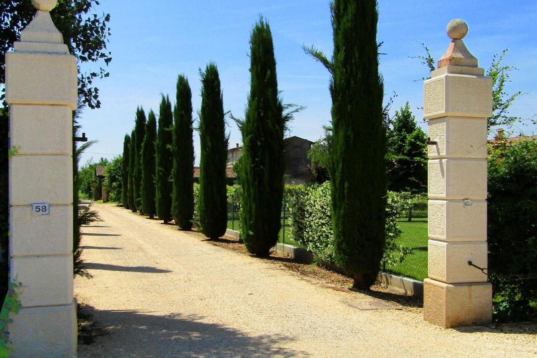 Photo of Others in Sommacampagna
